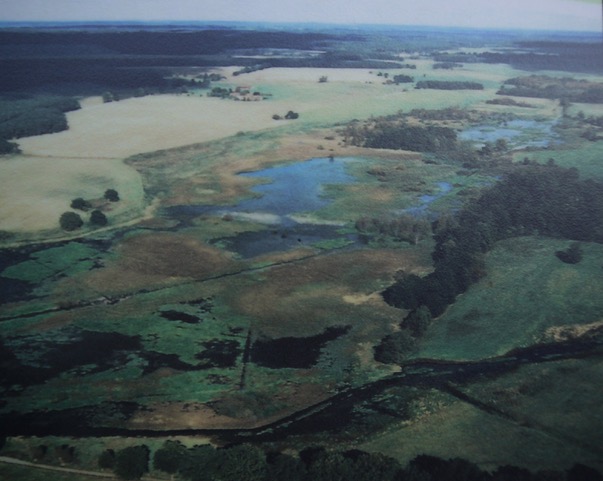 Sturer See vor Vernässung,Luftbild,1994, Stiftung Umwelt und Naturschutz Mecklenburg-Vorpommern