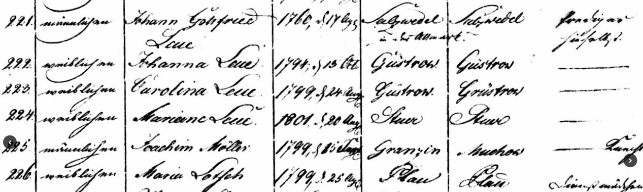 Volkszählungsliste vom Oktober 1819 zum Haushalt von Pastor Leue