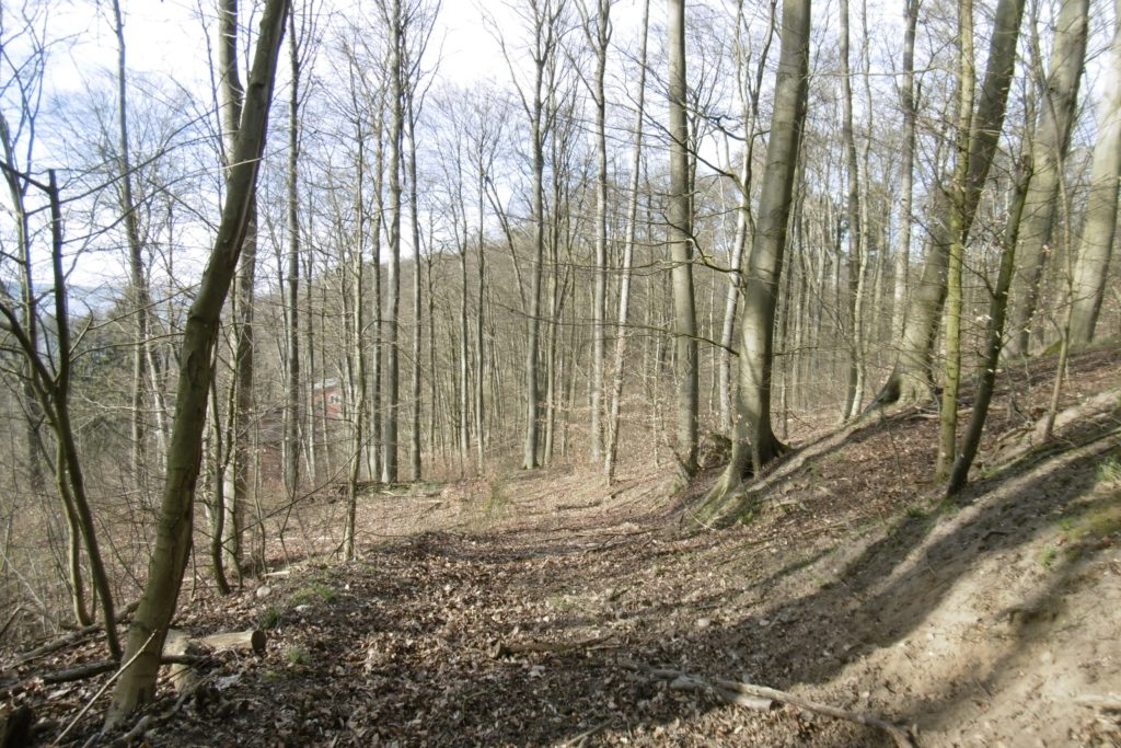 Bad Stuer,Waldwegrudimente,2020