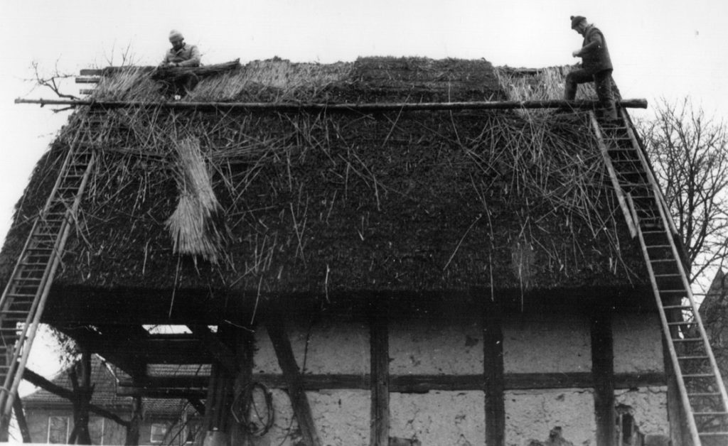 Abbau eines wenige Jahre alten Schilfdaches in Buchholz, 1982